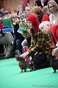 Crufts2011_2 1575